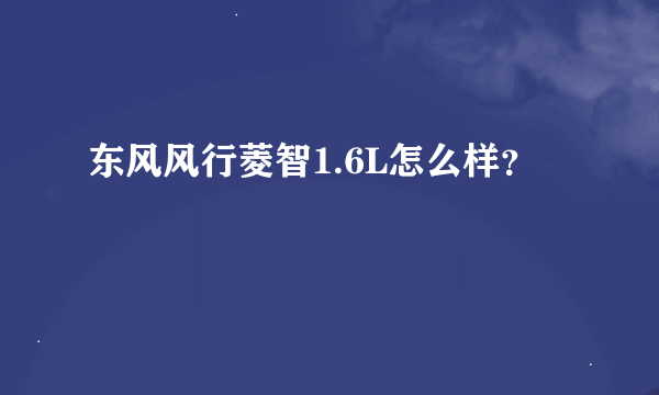 东风风行菱智1.6L怎么样？