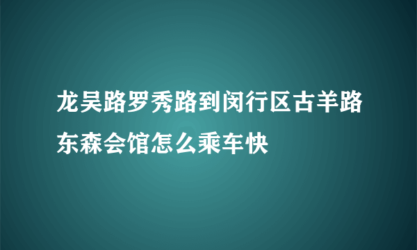 龙吴路罗秀路到闵行区古羊路东森会馆怎么乘车快