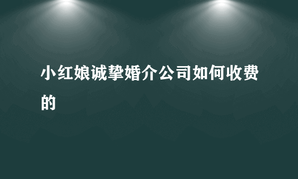 小红娘诚挚婚介公司如何收费的