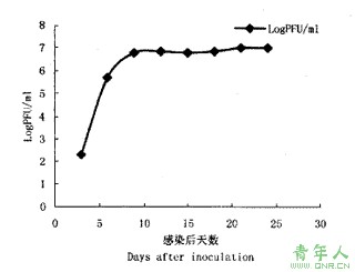 汉坦病毒的疫苗与抗病毒研究