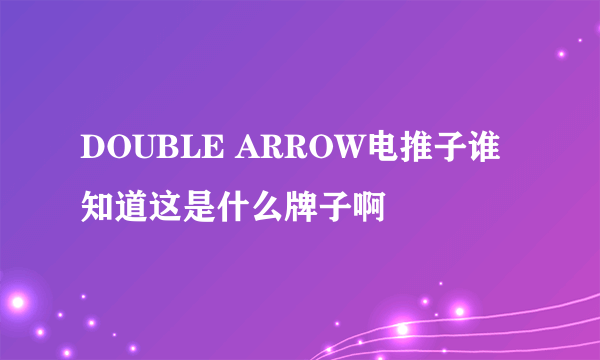 DOUBLE ARROW电推子谁知道这是什么牌子啊