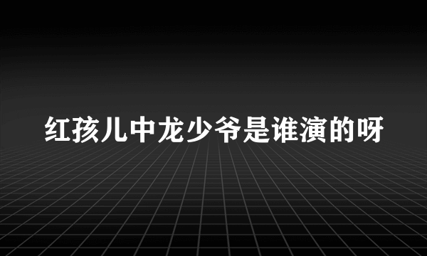 红孩儿中龙少爷是谁演的呀