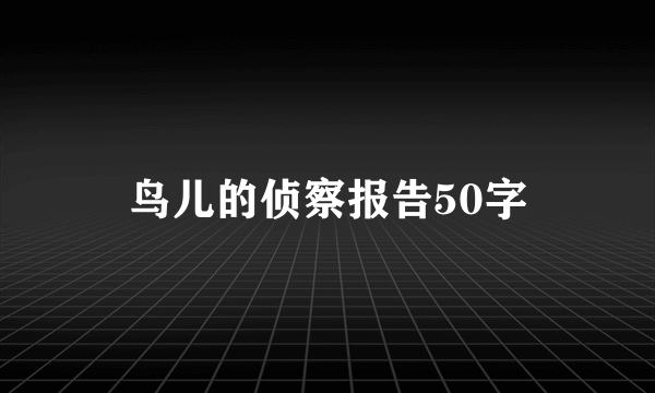 鸟儿的侦察报告50字