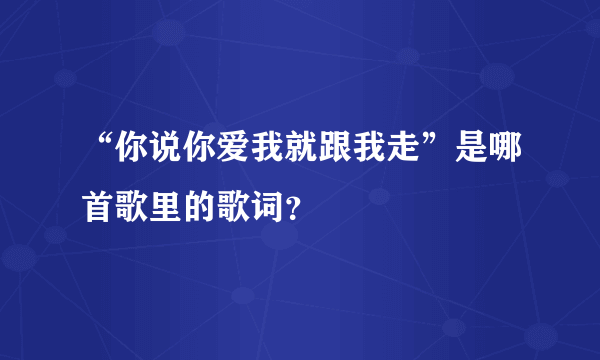 “你说你爱我就跟我走”是哪首歌里的歌词？