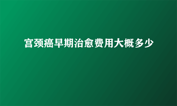 宫颈癌早期治愈费用大概多少