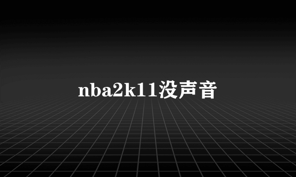 nba2k11没声音