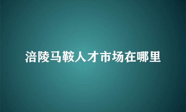 涪陵马鞍人才市场在哪里