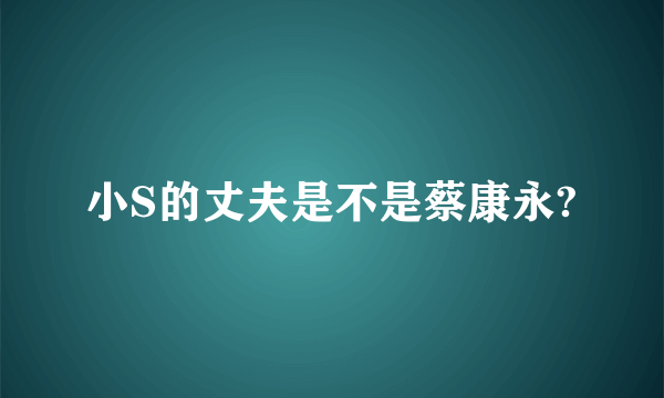 小S的丈夫是不是蔡康永?