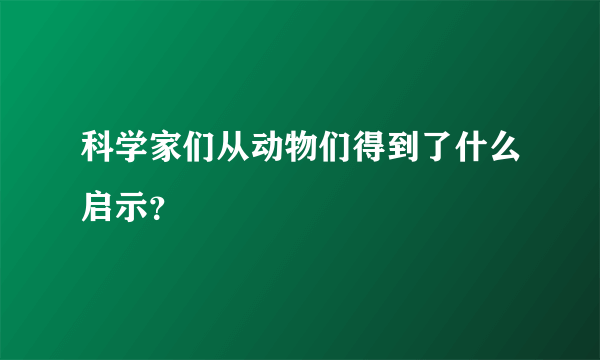 科学家们从动物们得到了什么启示？