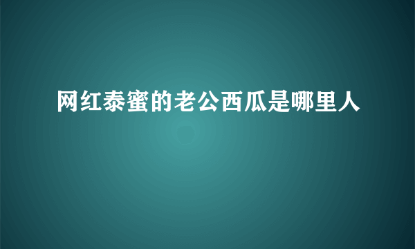 网红泰蜜的老公西瓜是哪里人