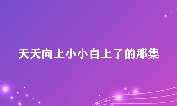 天天向上小小白上了的那集