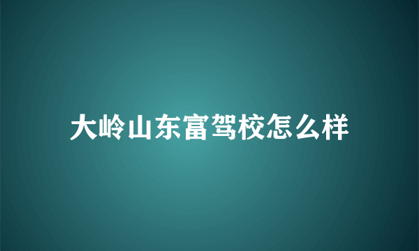 大岭山东富驾校怎么样