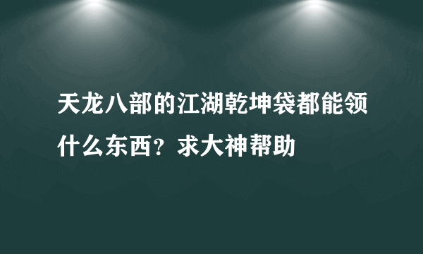 天龙八部的江湖乾坤袋都能领什么东西？求大神帮助