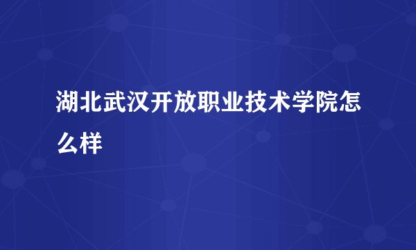 湖北武汉开放职业技术学院怎么样