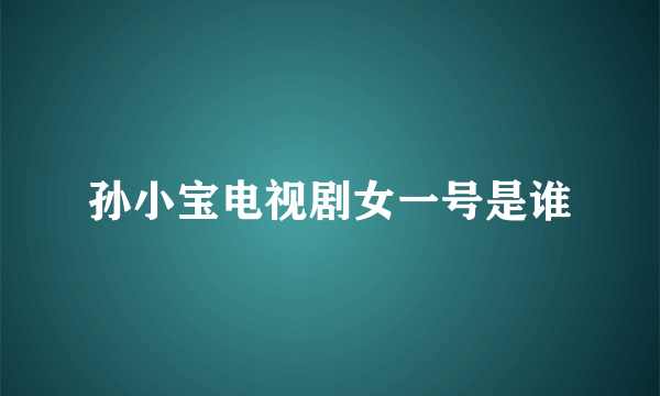 孙小宝电视剧女一号是谁