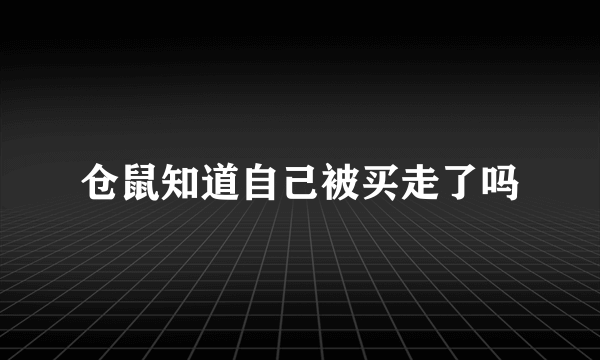 仓鼠知道自己被买走了吗