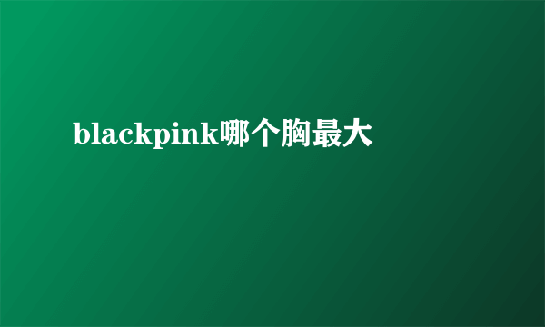 blackpink哪个胸最大