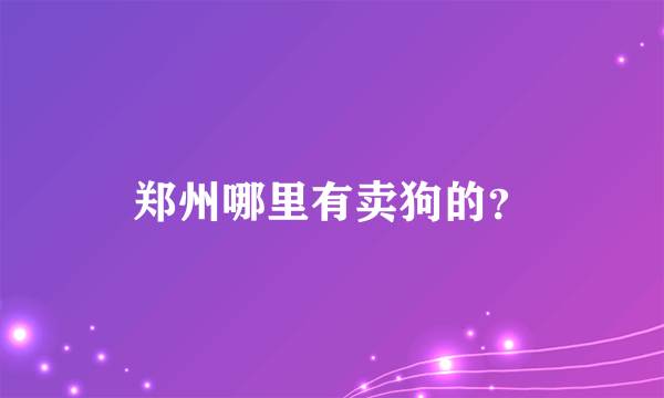 郑州哪里有卖狗的？