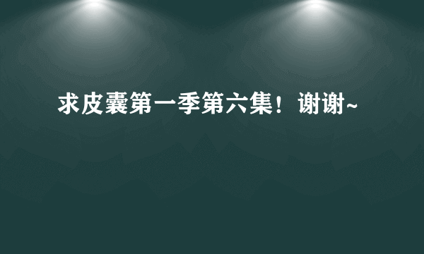 求皮囊第一季第六集！谢谢~