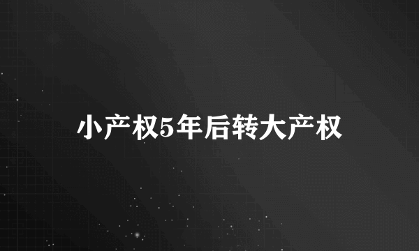 小产权5年后转大产权