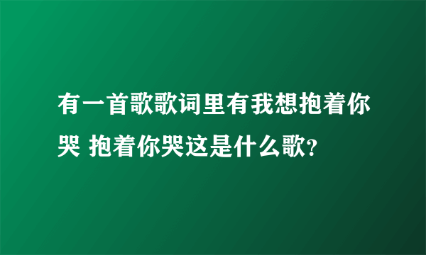 有一首歌歌词里有我想抱着你哭 抱着你哭这是什么歌？