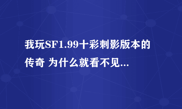 我玩SF1.99十彩刺影版本的传奇 为什么就看不见功能服务这一个NPC 急求