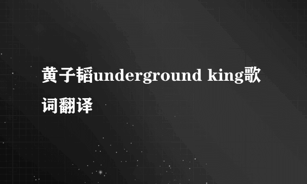 黄子韬underground king歌词翻译