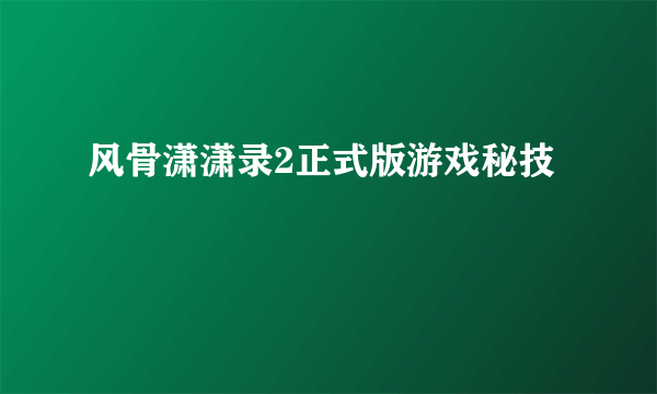 风骨潇潇录2正式版游戏秘技