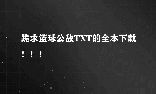 跪求篮球公敌TXT的全本下载！！！