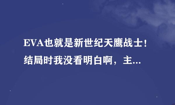 EVA也就是新世纪天鹰战士！结局时我没看明白啊，主角们都怎么处理了？感觉乱，谁能替我解说一下结局啊？