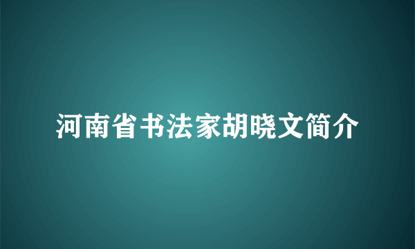 河南省书法家胡晓文简介