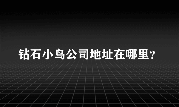 钻石小鸟公司地址在哪里？