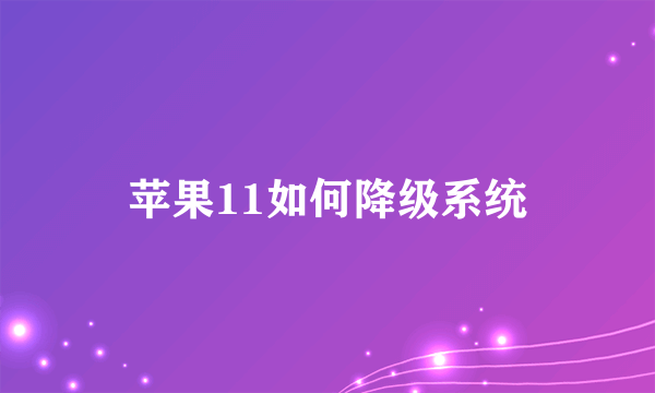 苹果11如何降级系统