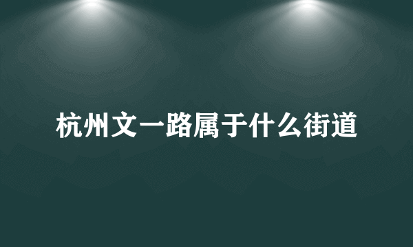 杭州文一路属于什么街道