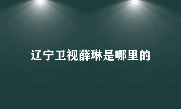 辽宁卫视薛琳是哪里的