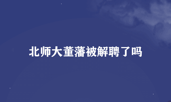 北师大董藩被解聘了吗