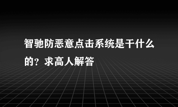 智驰防恶意点击系统是干什么的？求高人解答