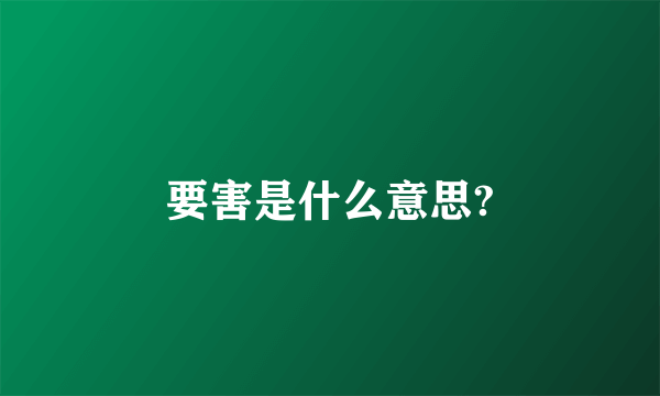 要害是什么意思?