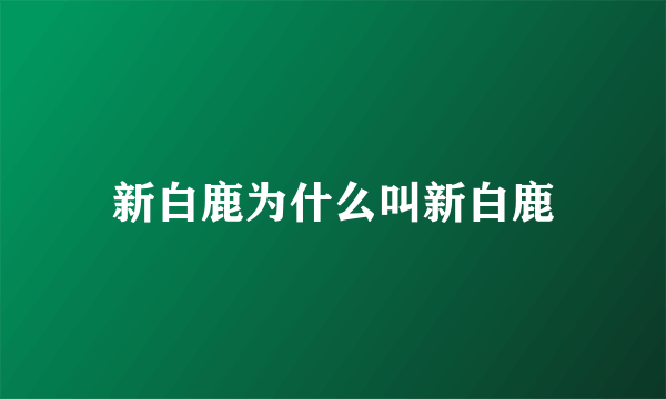 新白鹿为什么叫新白鹿