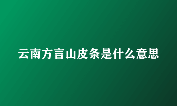 云南方言山皮条是什么意思