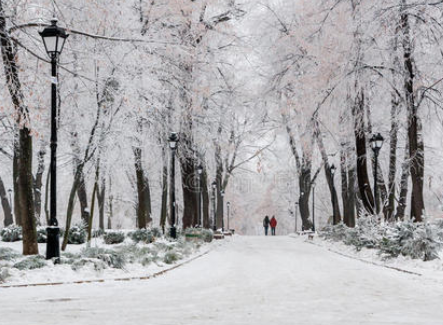 下雪了！北京多区迎来降雪，当地的气温如何？