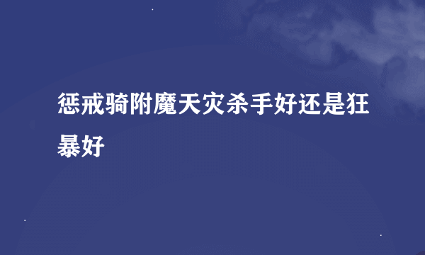 惩戒骑附魔天灾杀手好还是狂暴好