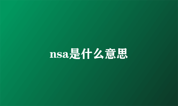 nsa是什么意思