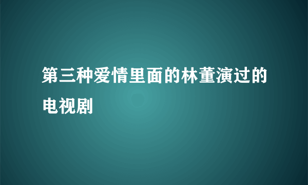 第三种爱情里面的林董演过的电视剧