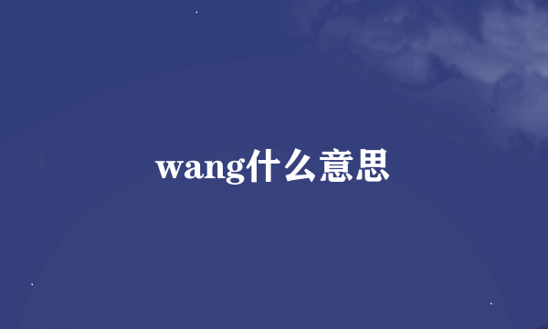 wang什么意思