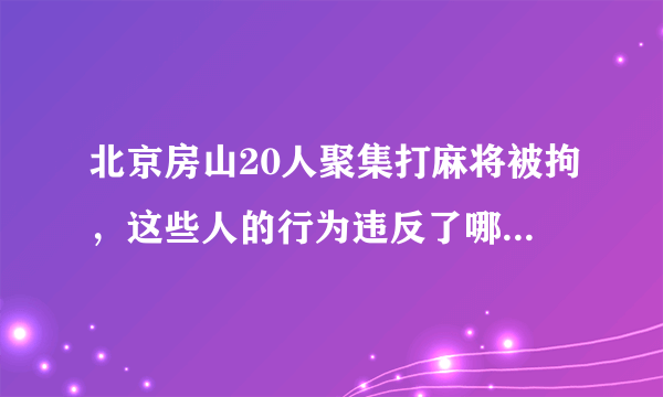 北京房山20人聚集打麻将被拘，这些人的行为违反了哪些法律？