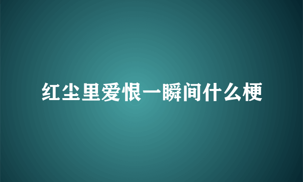 红尘里爱恨一瞬间什么梗