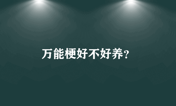 万能梗好不好养？