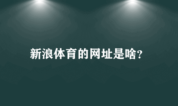 新浪体育的网址是啥？