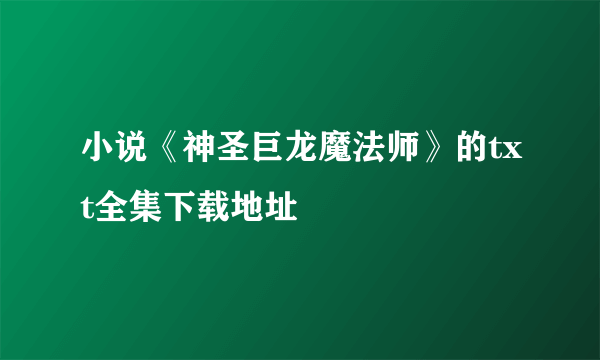 小说《神圣巨龙魔法师》的txt全集下载地址